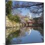 Himeji Castle (Unesco World Heritage Site), Himeji, Kansai, Honshu, Japan-Ian Trower-Mounted Photographic Print