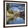 Himeji Castle (Unesco World Heritage Site), Himeji, Kansai, Honshu, Japan-Ian Trower-Framed Photographic Print