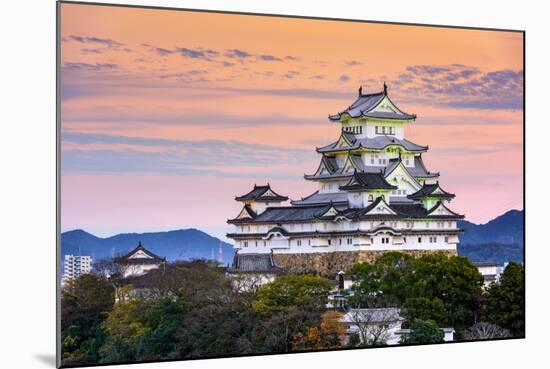 Himeji, Japan at the Castle.-SeanPavonePhoto-Mounted Photographic Print