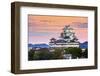 Himeji, Japan at the Castle.-SeanPavonePhoto-Framed Photographic Print