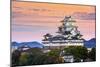 Himeji, Japan at the Castle.-SeanPavonePhoto-Mounted Photographic Print