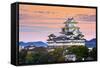 Himeji, Japan at the Castle.-SeanPavonePhoto-Framed Stretched Canvas