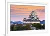 Himeji, Japan at the Castle.-SeanPavonePhoto-Framed Photographic Print