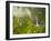 Hinalele Falls (Right) and Other Waterfalls at the Head of Wainiha Valley, Kauai, Hawaii.-Ethan Welty-Framed Photographic Print