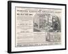 Hinde's Popular Shilling Toys! Advertisement for a Victorian Doll's House-null-Framed Art Print