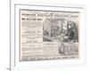 Hinde's Popular Shilling Toys! Advertisement for a Victorian Doll's House-null-Framed Art Print