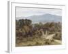 Hindhead from Sandhills, Witley-Helen Allingham-Framed Giclee Print