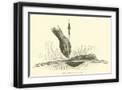 Black Frame