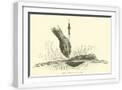 White Frame