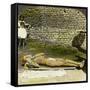 Hindu Devotee on a Bed of Nails Near the Shrine of Kali, Calcutta, India, Early 20th Century-Underwood & Underwood-Framed Stretched Canvas