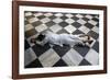 Hindu devotee prostrating at Krishna-Balaram temple, Vrindavan, Uttar Pradesh, India-Godong-Framed Photographic Print