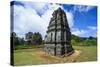 Hindu Dieng Temple Complex, Dieng Plateau, Java, Indonesia, Southeast Asia, Asia-Michael Runkel-Stretched Canvas