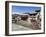 Hindu Festival, Pashupatinath Temple, Kathmandu, Nepal-Ethel Davies-Framed Photographic Print