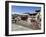 Hindu Festival, Pashupatinath Temple, Kathmandu, Nepal-Ethel Davies-Framed Photographic Print