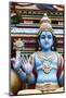 Hindu Goddess Kali (The Goddess of Time, Change, Power-Cahir Davitt-Mounted Photographic Print