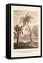 Hindu Peasant Ascending Cocoa Nut Tree-Baron De Montalemert-Framed Stretched Canvas