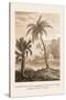 Hindu Peasant Ascending Cocoa Nut Tree-Baron De Montalemert-Stretched Canvas