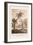 Hindu Peasant Ascending Cocoa Nut Tree-Baron De Montalemert-Framed Art Print