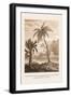 Hindu Peasant Ascending Cocoa Nut Tree-Baron De Montalemert-Framed Art Print