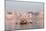 Hindu Pilgrims on Boat in the Ganges River, Varanasi, India-R M Nunes-Mounted Photographic Print