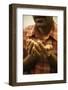 Hindu prayer in a Sri Lankan temple, France-Godong-Framed Photographic Print