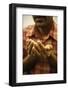 Hindu prayer in a Sri Lankan temple, France-Godong-Framed Photographic Print