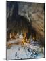 Hindu Shrine in Temple Cave at Batu Caves, Kuala Lumpur, Malaysia, Southeast Asia, Asia-Christian Kober-Mounted Photographic Print