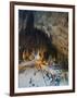 Hindu Shrine in Temple Cave at Batu Caves, Kuala Lumpur, Malaysia, Southeast Asia, Asia-Christian Kober-Framed Photographic Print