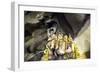 Hindu Shrine inside Batu Caves, Kuala Lumpur, Malaysia-Paul Souders-Framed Photographic Print