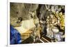 Hindu Shrine inside Batu Caves, Kuala Lumpur, Malaysia-Paul Souders-Framed Photographic Print