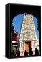 Hindu Temple Dedicated to Krishna, Pushkar, Rajasthan, India, Asia-Godong-Framed Stretched Canvas