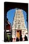 Hindu Temple Dedicated to Krishna, Pushkar, Rajasthan, India, Asia-Godong-Stretched Canvas