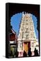 Hindu Temple Dedicated to Krishna, Pushkar, Rajasthan, India, Asia-Godong-Framed Stretched Canvas