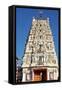 Hindu Temple Dedicated to Krishna, Pushkar, Rajasthan, India, Asia-Godong-Framed Stretched Canvas