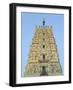 Hindu Temple in Pushkar, Rajasthan, India-Keren Su-Framed Photographic Print