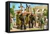 Hindu Theatre on the Backs of Elephants, C1900-null-Framed Stretched Canvas