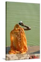 Hindu Woman in a Ritual Cleansing Bath at Pushkar Lake, Rajasthan, Pushkar, India-David Noyes-Stretched Canvas