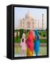 Hindu Women with Veils in the Taj Mahal, Agra, India-Bill Bachmann-Framed Stretched Canvas