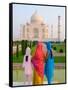 Hindu Women with Veils in the Taj Mahal, Agra, India-Bill Bachmann-Framed Stretched Canvas