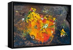 Hinduism: Pigments (Red Kumkum, Yellow Turmeric/Saffron Powder) and Scattered Flower Petal?-null-Framed Stretched Canvas