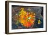 Hinduism: Pigments (Red Kumkum, Yellow Turmeric/Saffron Powder) and Scattered Flower Petal?-null-Framed Photographic Print