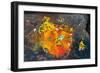 Hinduism: Pigments (Red Kumkum, Yellow Turmeric/Saffron Powder) and Scattered Flower Petal?-null-Framed Photographic Print