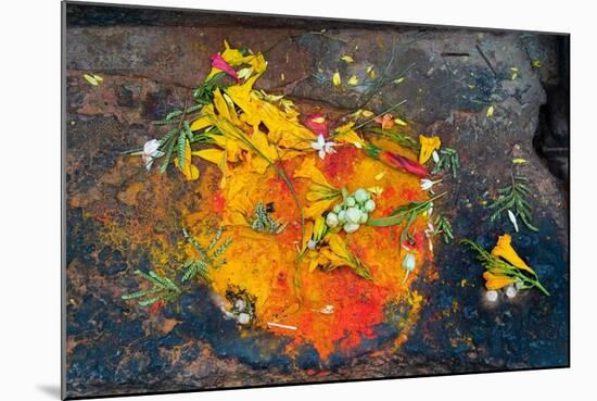 Hinduism: Pigments (Red Kumkum, Yellow Turmeric/Saffron Powder) and Scattered Flower Petal?-null-Mounted Photographic Print