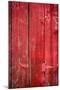 Hinge on a Red Barn-Steve Gadomski-Mounted Photographic Print