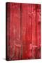 Hinge on a Red Barn-Steve Gadomski-Stretched Canvas