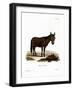 Hinny-null-Framed Giclee Print