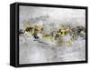 Hint of Flint-Alexys Henry-Framed Stretched Canvas