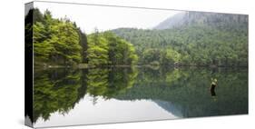 Hinterer Langbathsee, Salzkammergut, Upper Austria, Austria, Europe-Gerhard Wild-Stretched Canvas