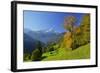 Hintergraseck against Zugspitz Mountain Range, Garmisch-Partenkirchen, Bavaria, Germany-null-Framed Art Print