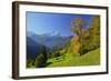 Hintergraseck against Zugspitz Mountain Range, Garmisch-Partenkirchen, Bavaria, Germany-null-Framed Art Print